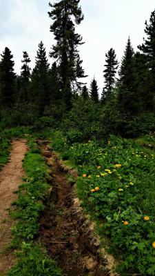 Прикрепленное изображение: a1c4a144e3798ee8174a2b5a0943f717-picsart_1404207713608.gallery.jpg